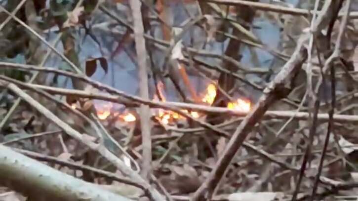 সুন্দরবনের আগুন নিয়ন্ত্রণে অংশ নিয়েছে নৌ বিমান বাহিনী, কোস্টগার্ড