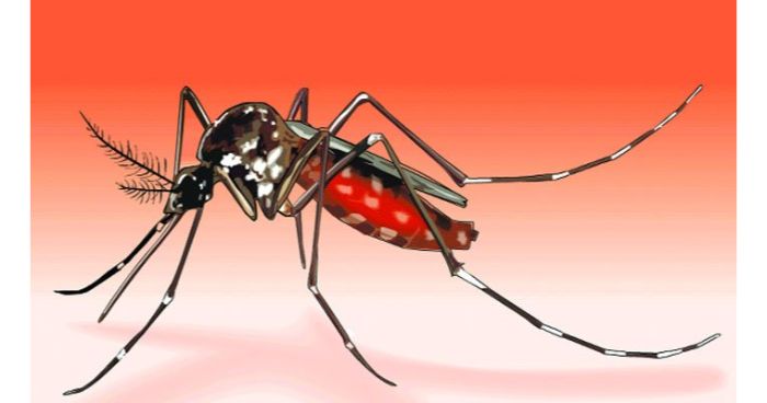 ২৪ ঘণ্টায় ১৭৩ জন ডেঙ্গু আক্রান্ত হয়ে হাসপাতালে