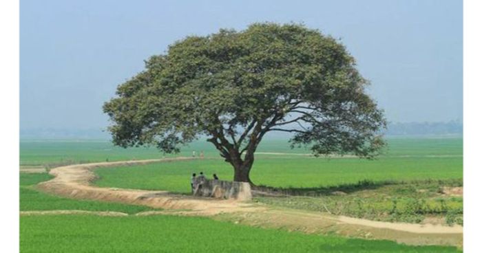 সারাদেশে রাত-দিনের তাপমাত্রা অপরিবর্তিত থাকতে পারে