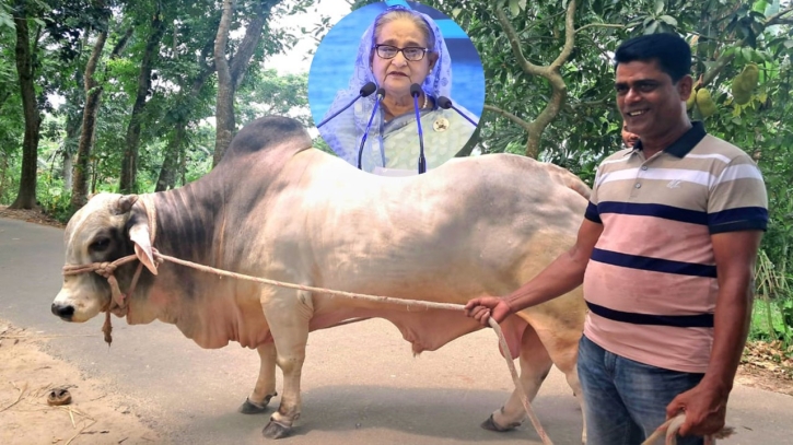 কিশোরগঞ্জের বুলবুলের পক্ষ থেকে প্রধানমন্ত্রীকে কুরবানীর গরু উপহার