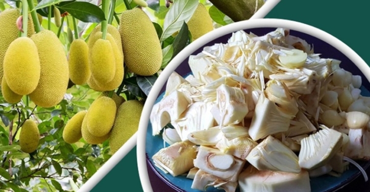 কাঁচা কাঁঠাল খেলে কী হয়?