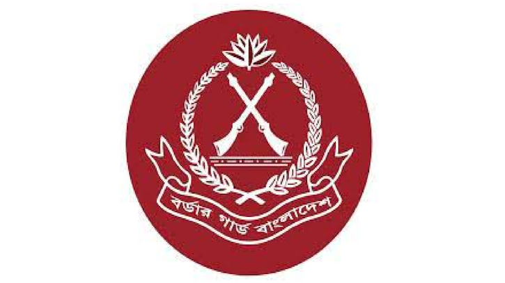 আগস্টে বিজিবির অভিযানে ২১৫ কোটি টাকার চোরাচালান পণ্যসামগ্রী জব্দ