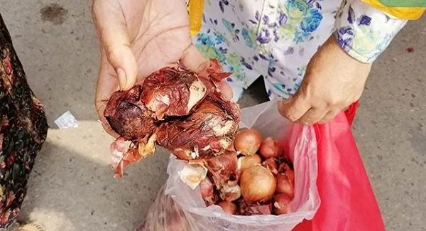 এলো নষ্ট পেঁয়াজ ভারত থেকে