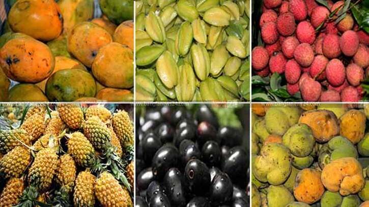 মৌসুমী ফলে ভরপুর কুমিল্লার বাজার