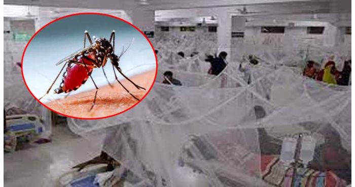 দেশে একদিনে আরো ১৯৪ ডেঙ্গু রোগী হাসপাতালে ভর্তি