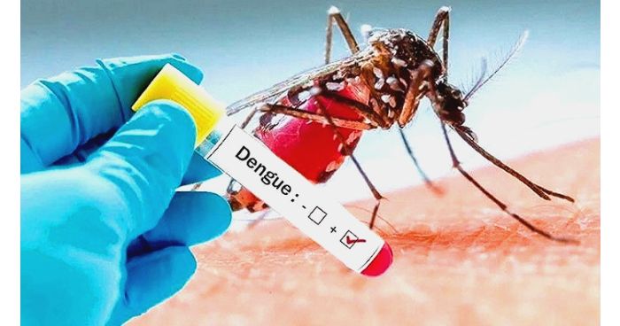 সারাদেশে আরো ১০৩ জন নতুন ডেঙ্গু রোগী বিভিন্ন হাসপাতালে ভর্তি