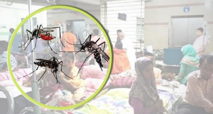 দেশে ডেঙ্গু আক্রান্ত হয়ে মৃতের সংখ্যা ১০১ জন