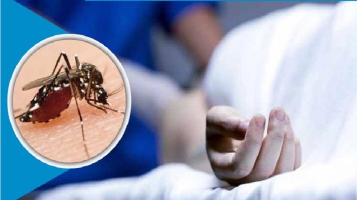 গত ২৪ ঘণ্টায় ডেঙ্গুতে আরো ৪ জন আক্রান্ত