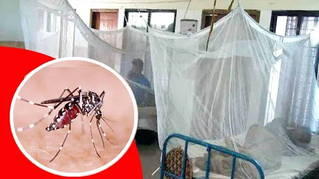 ডেঙ্গুতে এ পর্যন্ত দেশে মৃত্যুবরণ করেছে ৭৩ জন