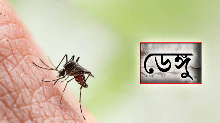 ডেঙ্গুতে একদিনে ৯ জনের মৃত্যু