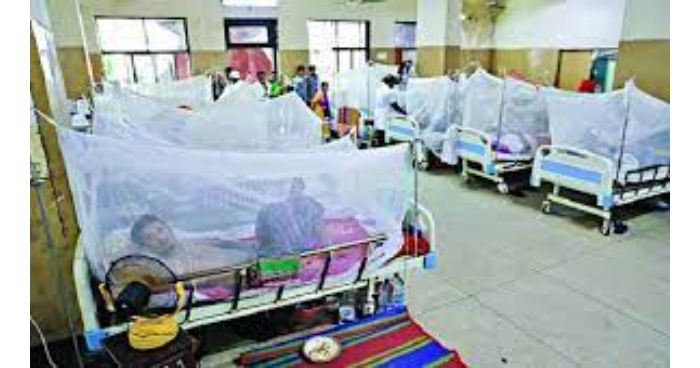 ২৪ ঘণ্টায় আরও ৮১ ডেঙ্গু রোগী হাসপাতালে ভর্তি