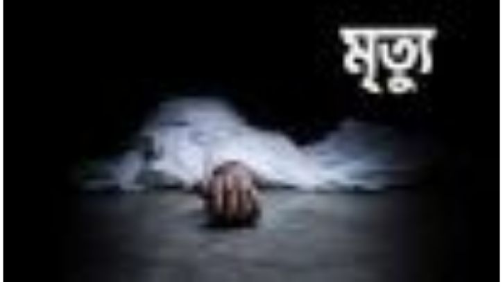 কবরস্থানের গাছ-কাঁঠাল পাতা বিক্রিতে বাঁধা দেওয়ায় প্রাণ গেল সেলিমে