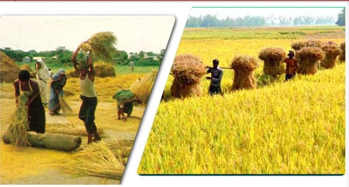 বাংলাদেশ থেকে অস্থায়ী ভিত্তিতে কৃষক নিতে আগ্রহ প্রকাশ করেছে গ্রিস