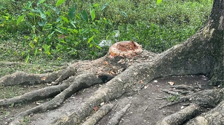 সরকারি সম্পত্তি অপব্যবহার, ইউএনও দিলেন তদন্তের নির্দেশ