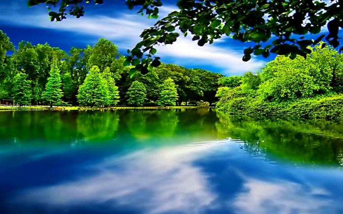 হালাল উপার্জন