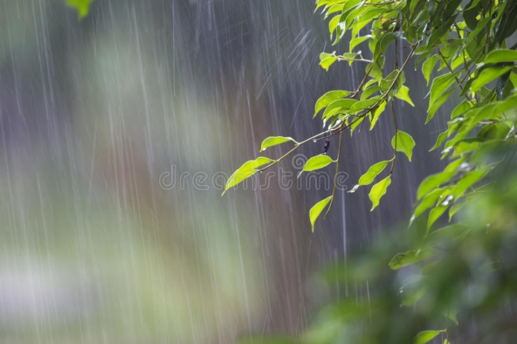 ঈদের দিন সারাদেশে বৃষ্টিপাতের সম্ভাবনা