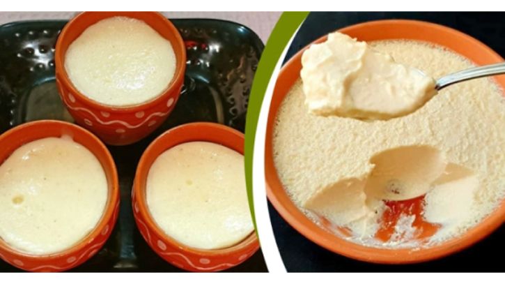 মহিষের দইয়ে মিলেছে ক্ষতিকর ব্যাকটেরিয়া