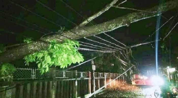 কালবৈশাখী ঝড়ে হবিগঞ্জের নয়টি উপজেলা ব্যাপকভাবে ক্ষতিগ্রস্ত