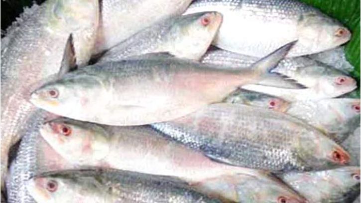 বরিশাল থেকে ভারতে পাঠানো হচ্ছে আরও ৮ টন ইলিশ