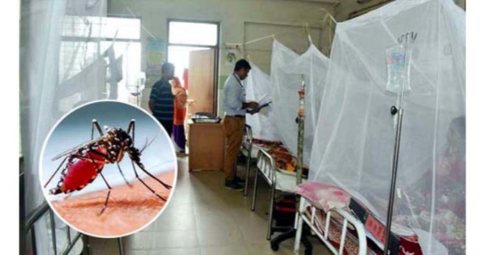 আতঙ্ক ছড়াচ্ছে ডেঙ্গু