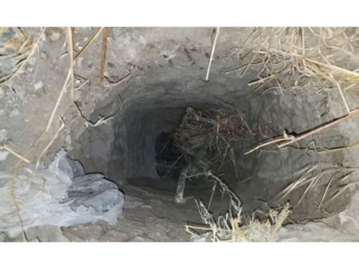 ভারত-বাংলাদেশ সীমান্তে ২০০ মিটার সুড়ঙ্গ