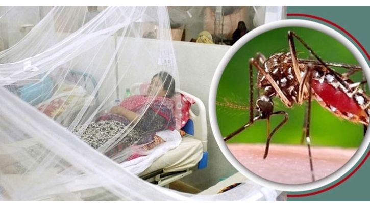 ডেঙ্গুতে আক্রান্ত হয়ে ১০ জন হাসপাতালে