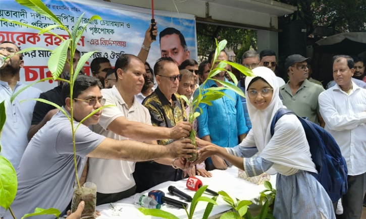 স্কুলের শিক্ষক ও শিক্ষার্থীদের মাঝে গাছের চারা বিতরণ