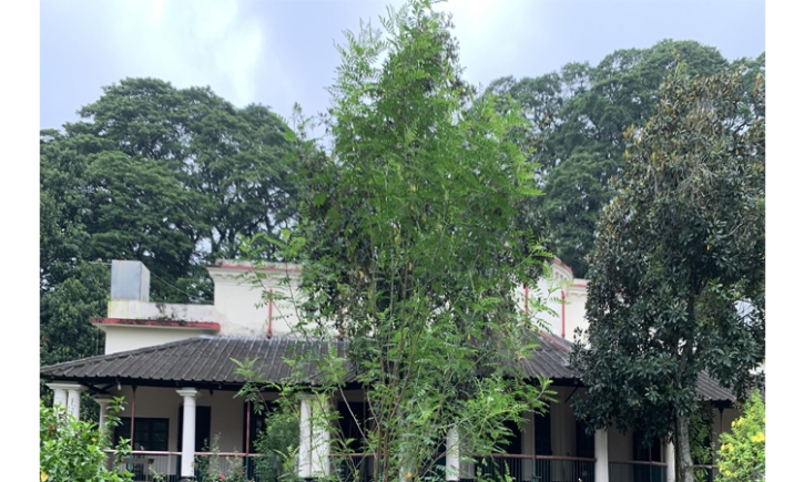 মেহেরপুরের আমঝুপি নীলকুঠি