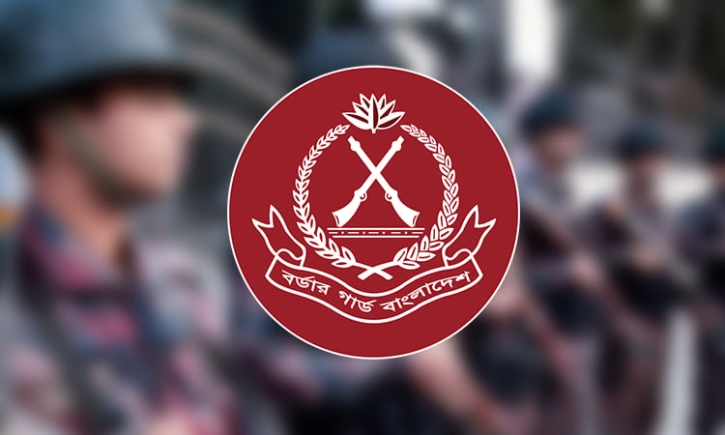 ব্রাহ্মণবাড়িয়ায় সাড়ে ১২ কোটি টাকার ভারতীয় মালামাল আটক
