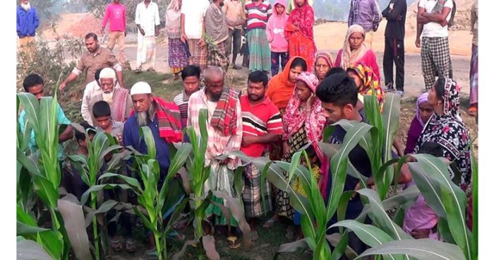পাঁচবিবিতে ভুট্টা ক্ষেত থেকে যুবকের লাশ উদ্ধার
