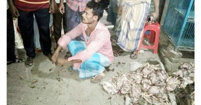 ড্রেসিং করা অবস্থায় ৩০০ মরা মুরগিসহ কর্মচারী আটক