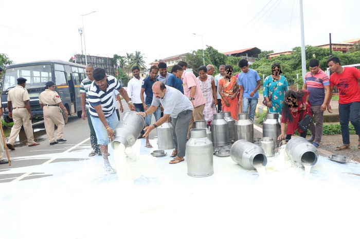 ভারতের মহারাষ্ট্রে মূল্য বৃদ্ধির দাবিতে রাস্তায় ঢেলে দিচ্ছে দুধ