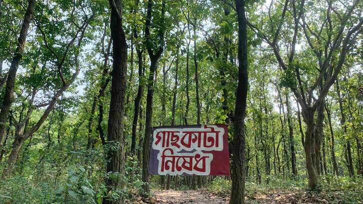 ‘কর্তন নিষিদ্ধ’ গাছ কাটলে এক লাখ টাকা জরিমানা, অধ্যাদেশ জারি