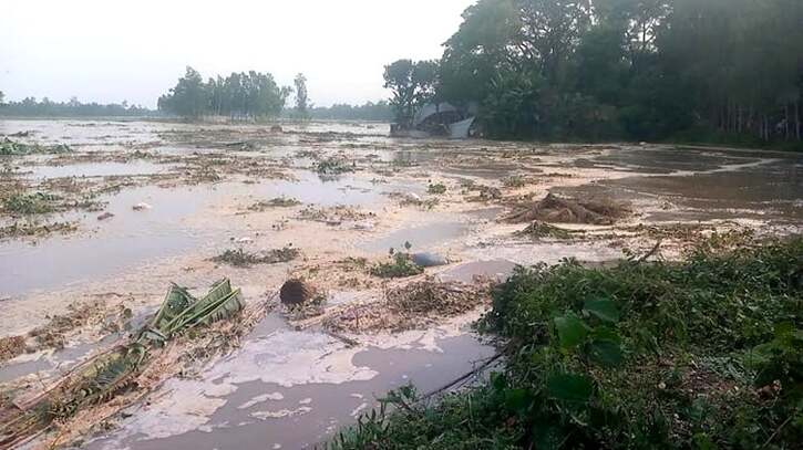 বগুড়ার ইছামারা গ্রামের একাংশ যমুনায় বিলীন