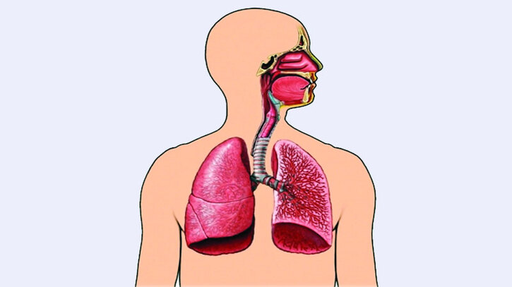 বিশ্ব যক্ষ্মা দিবস আজ