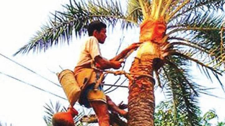 কুমিল্লায় শীতের আগমনীর কথা জানান দিচ্ছেন গাছিরা