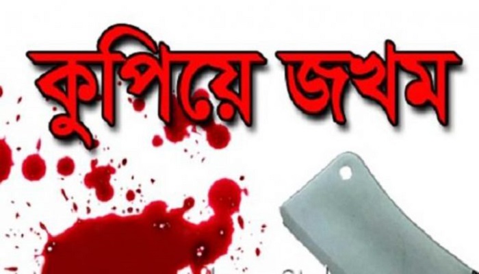 যৌতুকের দাবি করা টাকা না পেয়ে, স্ত্রীকে কুপিয়ে জখম