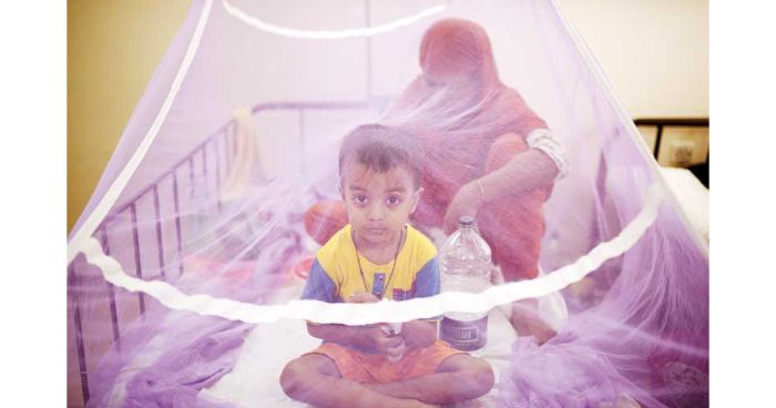 ২৪ ঘণ্টায় ৫৬ ডেঙ্গু রোগী হাসপাতালে