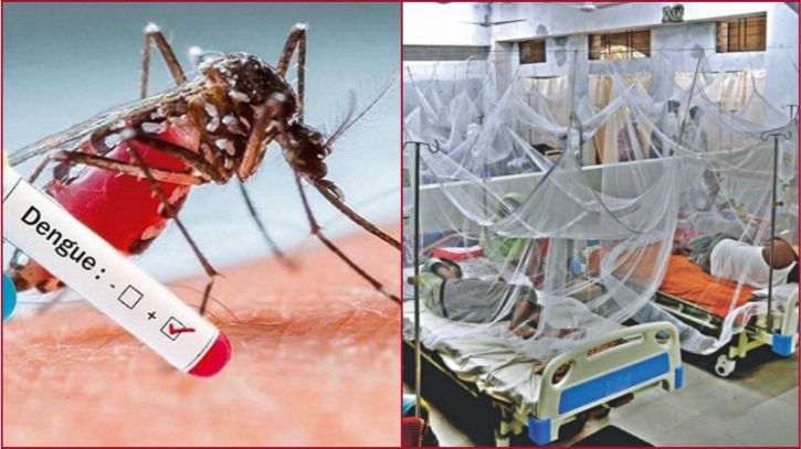 গত ২৪ ঘণ্টায় ডেঙ্গুতে ৪ জনের মৃত্যু, হাসপাতালে ভর্তি ৪২৬