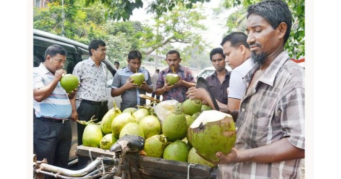 ঝালকাঠির ডাব সরবরাহ হচ্ছে দেশব্যাপি