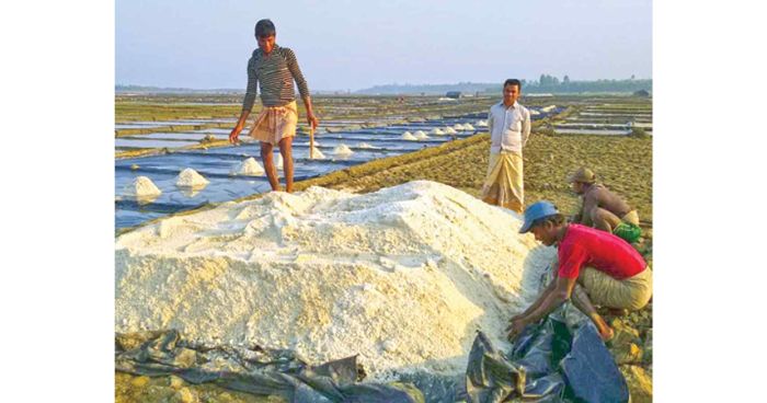 দেশের লবণ শিল্পে শঙ্কা