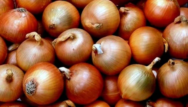 কেজি ২০ টাকা তুরস্ক থেকে আসছে পেঁয়াজ