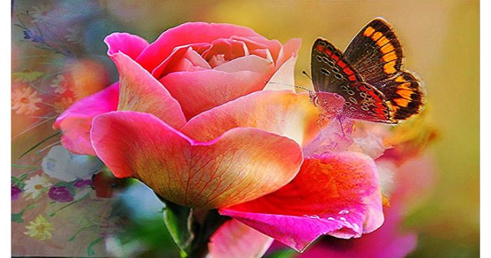পারিবারিক জীবন হবে আরও বেশি বরকতময়