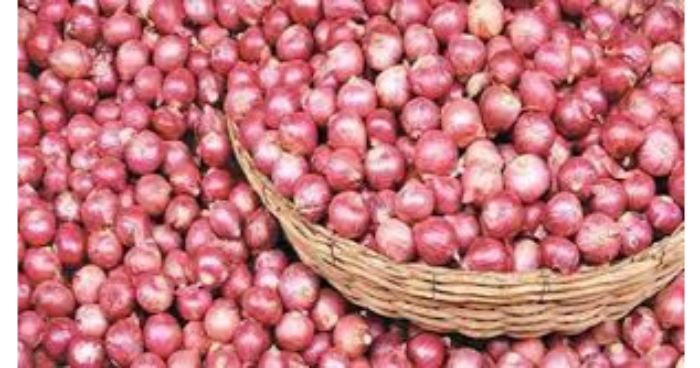 ভারতের পেঁয়াজ আমদানি নির্ভরতা কমানোর উদ্যোগ