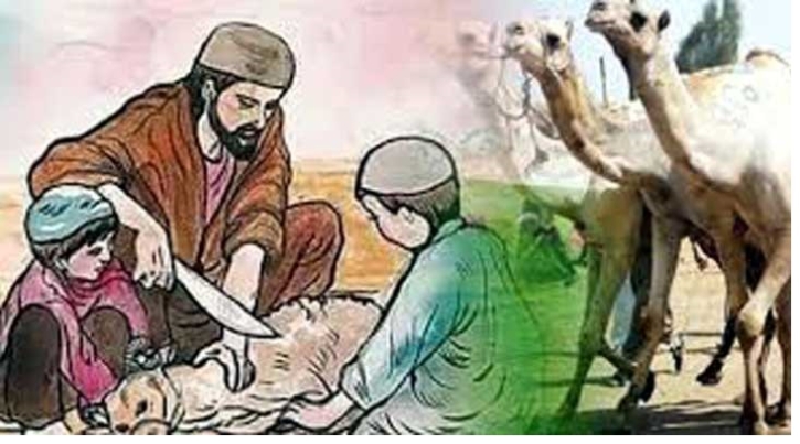 কুরবানী সংক্রান্ত কিছু জরুরি মাসায়েল