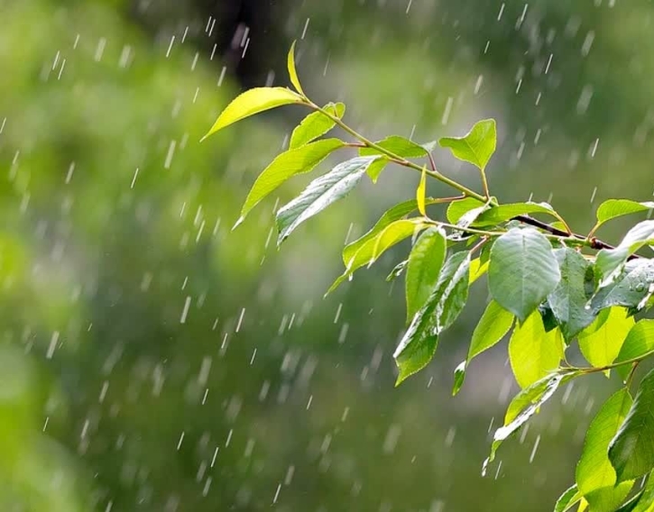 দেশে আকাশের অবস্থা আজ কেমন থাকবে জানালো আবহাওয়া অফিস