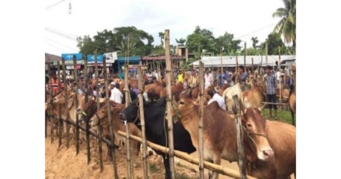 কালিয়াকৈরে কঠোর লকডাউন অমান্য করে পশুর হাট