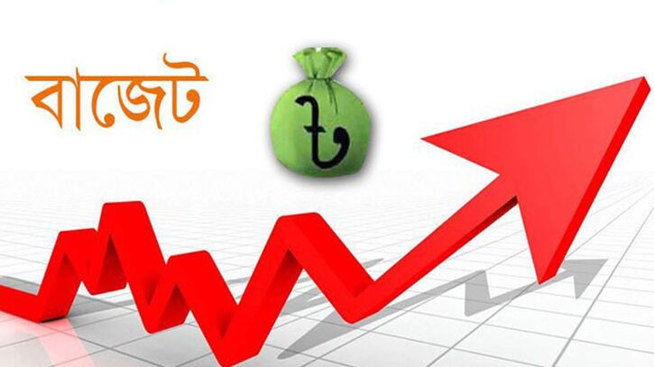 বাজেট কেন কাজে আসে না?