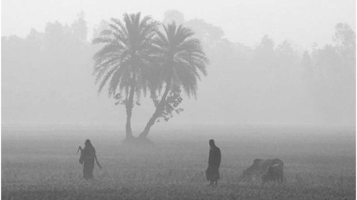 চলতি মাসেই ২-৩টি শৈত্যপ্রবাহের সম্ভাবনা