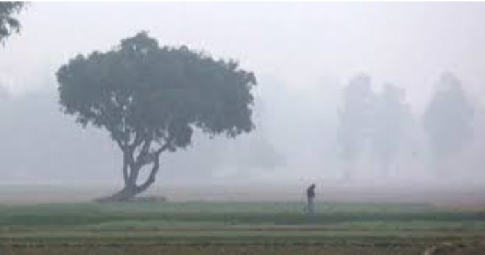 শৈত্যপ্রবাহ কেটেছে, হালকা বৃষ্টির আভাস